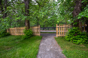 The opening of a wooden picket fence at the end of a concrete pathway. There are large mature lush green maple trees with sprigs sticking out at the bottom of the tree trunks covered in leaves. 