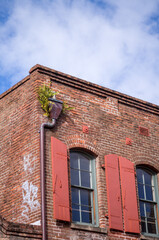 Fototapeta na wymiar Old Red Brick Building with Orange Shutters and a Fern Growing out of the Side.