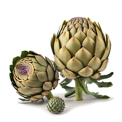 Obraz premium Tasty artichoke isolated on white background, AI generative