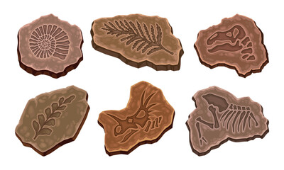 Fossil dig set. Dried soil collection with silhouettes of dinosaurs, sea animal and foliage. Archeology and paleontology. Ancient stone. Cartoon 3D vector illustrations isolated on white background