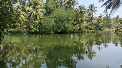 A beautiful river in Kerala