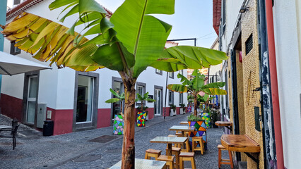 C&acirc;mara de Lobos, Portugal