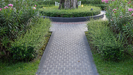 Gray concrete footpath in the garden