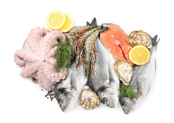 Fresh dorado fish, octopus, shrimps, oysters and salmon on white background, top view
