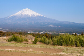 Obraz premium 静岡県富士宮市白糸自然公園からの富士山