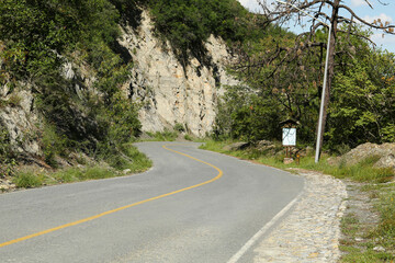 Empty asphalted road near steep cliff and trees outdoors