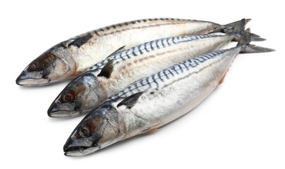 Three tasty raw mackerels isolated on white