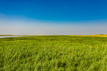 Obraz premium Aerial photography of Poyang Lake wetland landform in Jiangxi, China