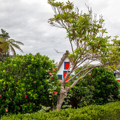 Traditional triangle Portugal island house, Madeira.