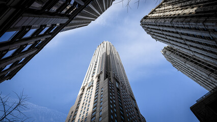 skyscrapers in the city