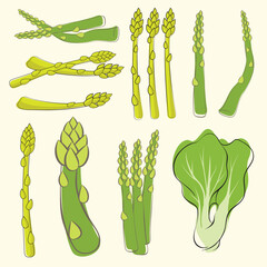 set of asparagus