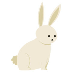 rabbit cartoon illustration