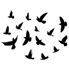 Fototapeta na wymiar Silhouette Bird flying - shadow black ink icons of birds Flying- herons flying - egret Flying, Bird Fly, Flock Fly, collection, Sea Gull, Set Silhouettes on white background,