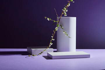 Cylinder podium and rectangle podiums in white displayed on blue background with flower branch....