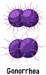 Neisseria gonorrhoeae bacterium with text