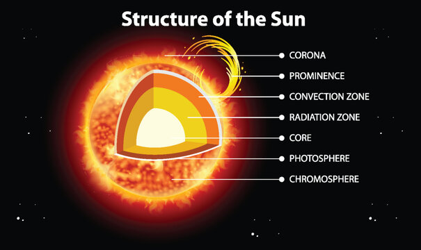 The Structure of the Sun