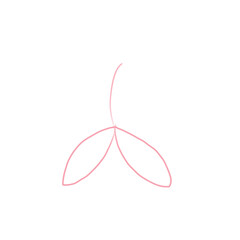pink flower isolated on white ,pink branch leave outline