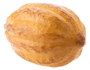 Fresh cocoa fruits isolated on a transparent background