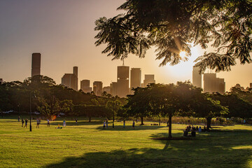 Afternoon scene of the new farm park and urban skyline from afar in golden hours in Brisbane - obrazy, fototapety, plakaty