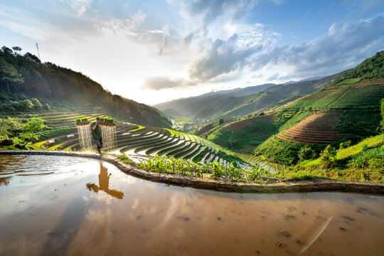 H'mong ethnic people work on rice fields in Mu Cang Chai, Yen Bai Province, Vietnam