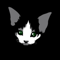 cute cat face vector illustration shadow silhouette