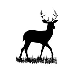 Silhouette Deer with grass isolated on white background