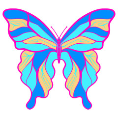 Butterfly illustration cartoon cute
