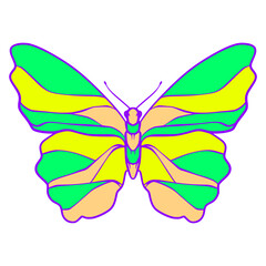 Obraz na płótnie Canvas Butterfly illustration cartoon cute