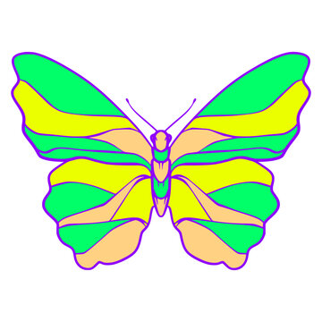Butterfly illustration cartoon cute