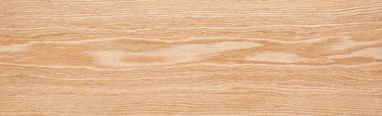 High key wood texture long background. Oak texture background. Wood texture background.	