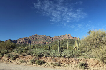 Arizona