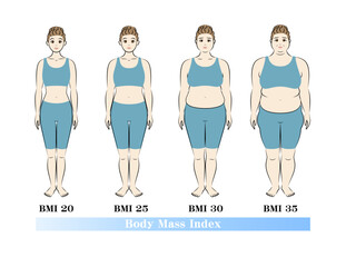 若い女性のBMI指数による体型の変化 ボディマスインデックス イラスト ベクター