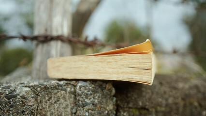 A Close-Up of an Old Book on a Wall with Closed Pages, High Aperture Diaphragm