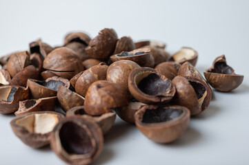 background, macadamia nut shell close-up view, tasty nut