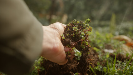 Human Hand Grabbing Vegetation and Soil in Nature, Concept of Loving Nature