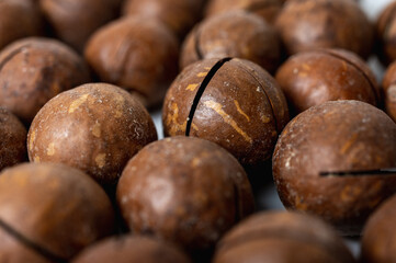 ight background, macadamia nuts close-up on a light surface, tasty nut healthy nutrition, food.