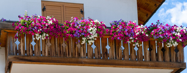 Traditional flowered balcony at the Alps and Dolomites. Colorful flowers on balcony. Summer time. Mix of flowers and colors. General contest of the European Alps - obrazy, fototapety, plakaty