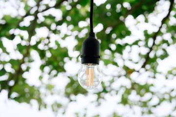 light bulb on green leaves background