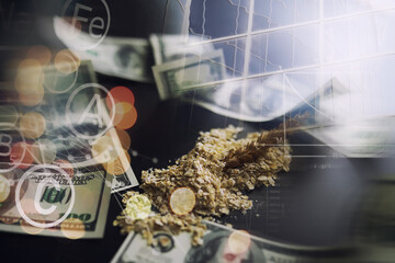 World grain crisis. Double exposure. A handful of cereals and 100 dollar banknotes on a blue...