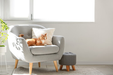 Cute red cat lying on grey armchair in living room