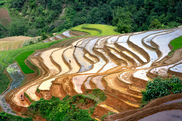 Curved lines of Terraced rice field during the watering season at the time before starting to grow rice in Lao Chai, Mu Cang Chai, VN