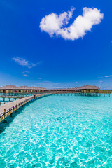 Fototapeta na wymiar Maldives paradise island. Tropical aerial landscape, seascape with jetty, water bungalows villas with amazing sea lagoon beach. Exotic tourism destination, summer vacation background. Aerial travel 