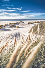 White beach in northern Denmark. High quality photo