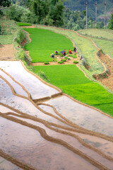 Curved lines of Terraced rice field during the watering season at the time before starting to grow rice in Lao Chai, Mu Cang Chai, VN