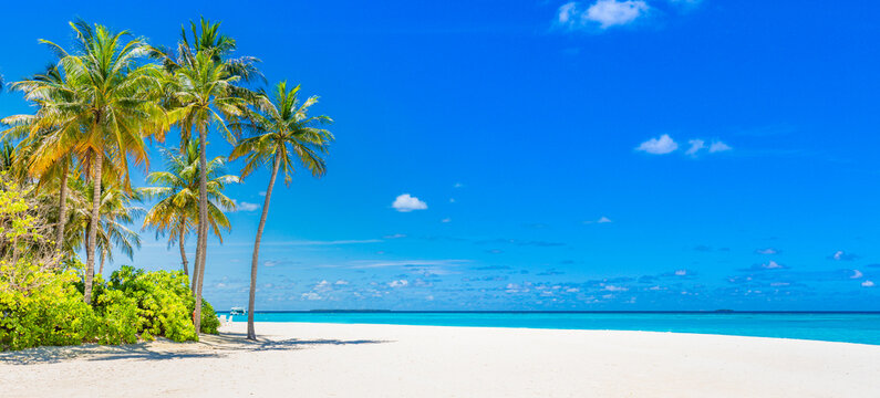 Beautiful amazing beach. Tropical shore background as summer landscape, white sand calm sea sky banner. Tranquil beach scene vacation and summer holiday concept. Dream sunny panoramic nature paradise