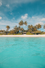 Summer exotic sandy beach with pastel colors palm trees sea waves. Retro vintage landscape shore, idyllic soft sunset. Tranquil serene lagoon bay, dream calming nature view. Exotic travel wallpaper