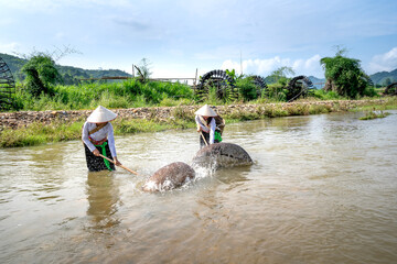 Ethnic minority women catch fish in streams