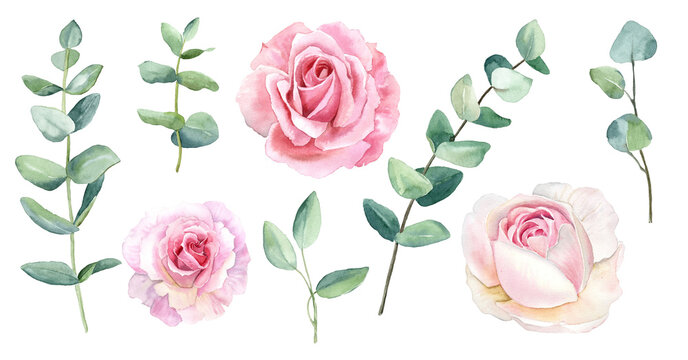 Watercolor set with individual floral illustration. Delicate roses with green leaves, pink peach blush flowers, twigs, eucalyptus, rose, peony. For wedding invitations, wallpapers, fashion prints.