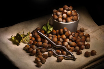 composition of hazelnuts on a piece of fabric, on a dark background