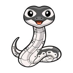 Fototapeta premium Cute axanthic ball python cartoon